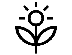 Ankora